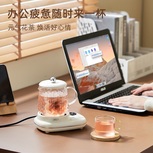 Le Stew mini health kettle for one person in the office, health kettle, stew kettle, all-in-one small fully automatic constant temperature kettle, teapot, scented tea kettle, electric stew cup, full glass, smart model + 304 tea compartments, automatic heat preservation + smart touch 0.5L
