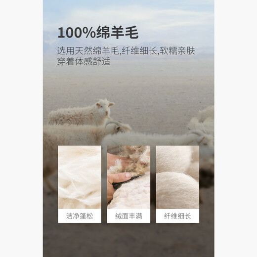 HECHTER 100% wool men's round neck wool sweater solid color skin-friendly, comfortable, warm and versatile sweater for men off-white - hot selling color L