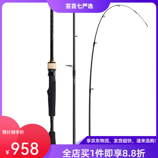 Daiwa Bass x Y Luya TIE LUYA ROLE DE PISCH