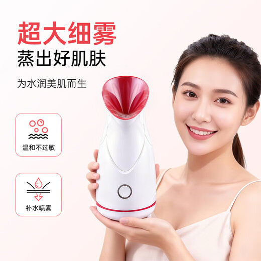 Facial Steamer, Konka Golden Rice Flat Nano Spray, Facial Deep Skin Hydrating Humidifier, Facial Detoxification Fumigation Device, Christmas Gift for Girls, Popular Choice - Thermal Water Ion Large Spray