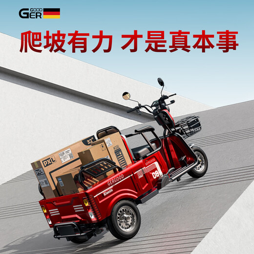 Galide high-power electric tricycle with shed for household use, small scooter for the elderly, mountain hauling, long-range electric tricycle, 48V600W naked bike (battery charger not included)
