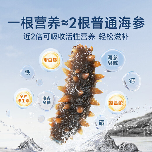 Jiunian Dalian ready-to-eat sea cucumber OCC3Jin Jin equal to 0.5kg 15-21 pieces individually wrapped gift box Liao sea cucumber seafood gift box