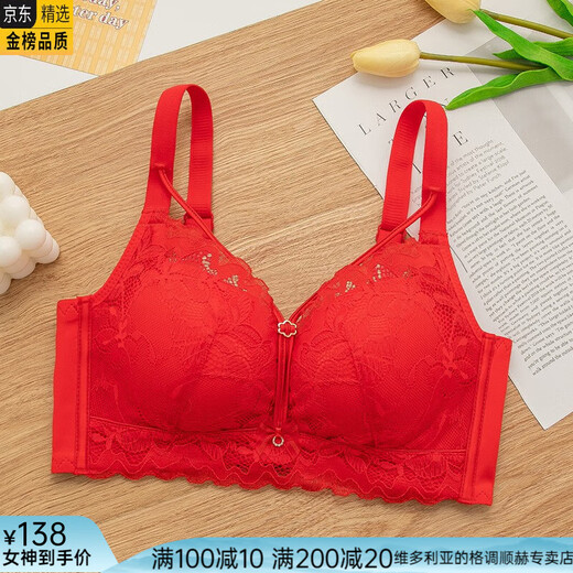 维多利亚的格调内衣女文胸无钢圈聚拢性感中厚款收副乳美胸胸小胸罩上托 829中厚浅紫色 4XL 34/75a