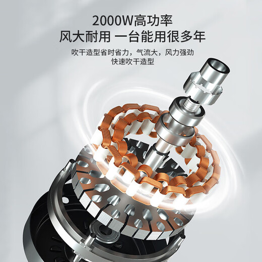 飞科（FLYCO）电吹风机 家用大功率吹风筒恒温护发速干冷热风 【2000W大功率 可折叠】FH6231