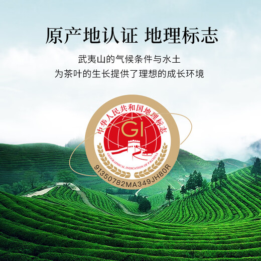 Qichun lao tsui narcisse wuyi rock tea fujian oolong the box cadeau de la fête des pères pour boire des cadeaux par des enseignants âgés