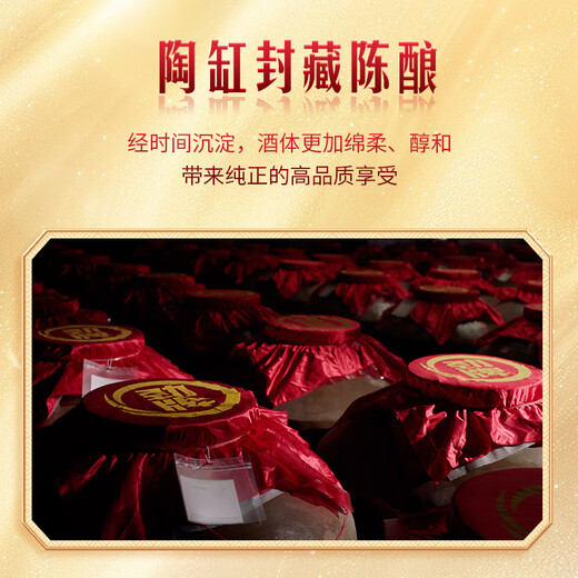 Jinpai Jinbiao Jinjiu 40 Grad 500 ml*2+ Maopu Alkohol 100ml*2 Exquisite Geschenkbox selbst trinkende Geschenk