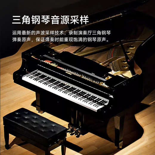 Betsy Electric Piano Heavy Hammer 88 Keys Adult Beginner Upright Electronic Piano B391 Low Box Glossy Black-Solid Wood Keyboard