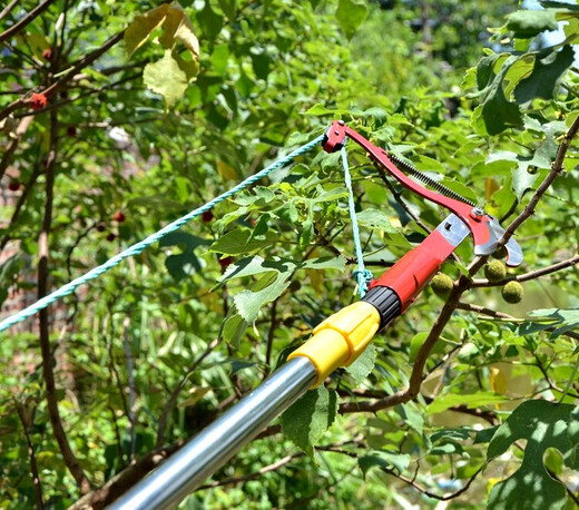 Bun Peng high-branch pruning branch scissors telescopic belt rope fruit picker high-altitude head high-altitude pruning thickened high-altitude shears No. 46