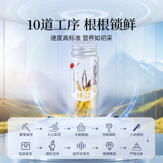 同仁堂（TRT）品牌 新鲜虫草0.81-1.0克/条50条装 鲜虫草青海源头直发包邮