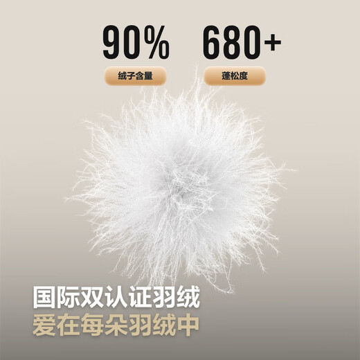 BOSIDENG's 25-year new short down jacket is hot in the mall. The same style of men's 90 down stand collar down jacket B250131005 black 8056-classic minimalist style M 175/96A weight about 130-140Jin Jin equals 0.5 kg