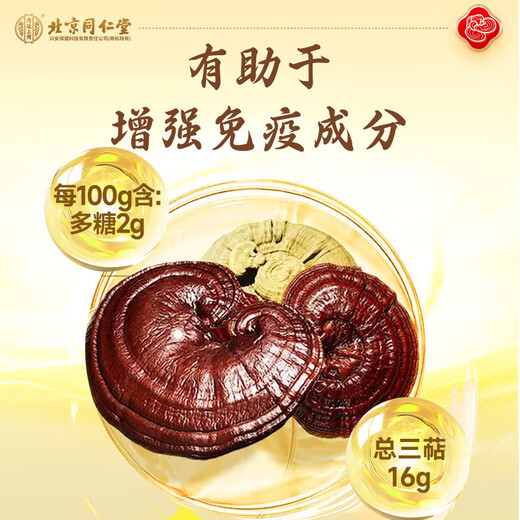 Beijing Tongrentang Ganoderma Lucidum Spore Powder 10g Rometa de pared orgánica de la montaña Changbai para mejorar la inmunidad Productos nutricionales postoperatorios