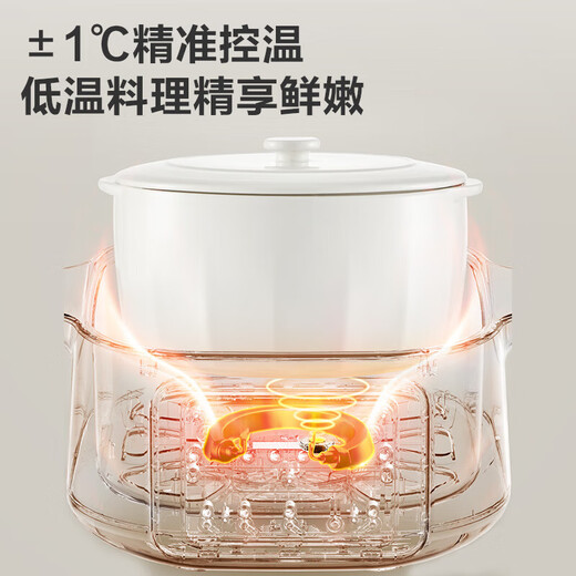 苏泊尔电炖锅 电炖盅 燕窝炖 宝宝辅食 1.5L精巧容量 隔水揉炖 迷你煮粥煲汤锅DZ15YC897 5L 2.5L 白瓷五胆