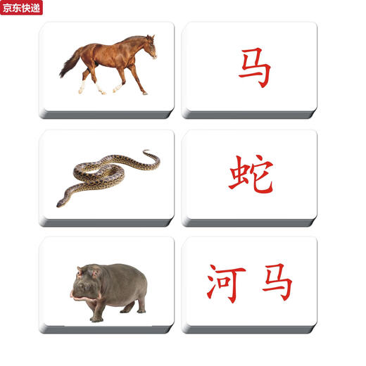 奇立彩宝宝早教玩具教具杜曼百科动物闪卡右全脑课潜能开发认知卡片 48张动物卡