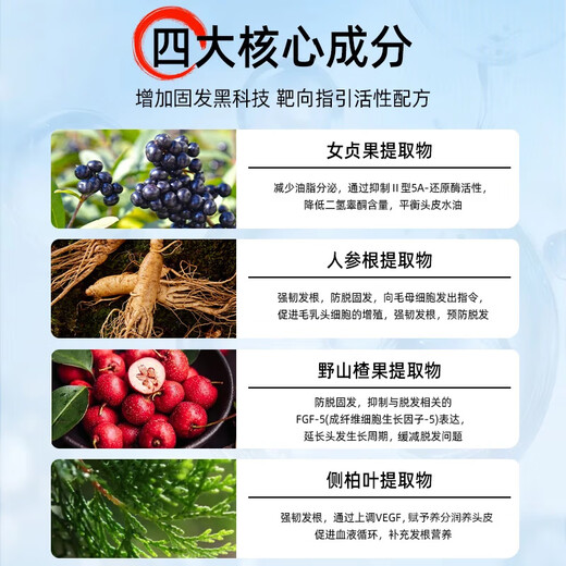 Nebe防脱固发洗发水护养头皮控油去屑蓬松柔顺人参根侧柏叶洗发露男女 【55/瓶 中度脱发适用】洗发水*2