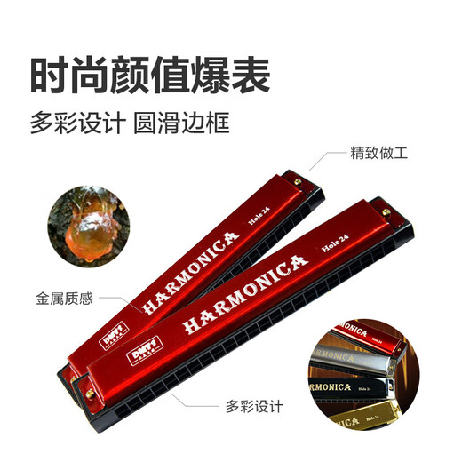口琴 吹奏乐器 初学入门款礼物 学生自学专业演奏儿童礼物 24孔 初学款口琴24孔双排【喷漆】
