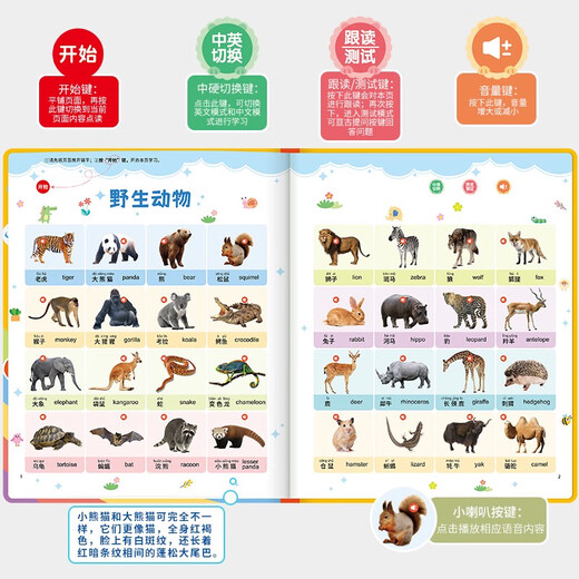 Frühschulbildung von Kindern 03-6 Anklage chinesischer und englischer E-Books zum Lesen und Lesen von Lernmaschine Baby Pinyin Hörbücher, Grundschule Übergang Chinesisch, Mathematik und Englischlesen-Lademodell