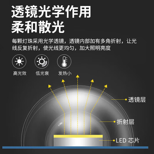 Philips (PHILIPS) ceiling lamp wick LED lamp plate magnetic modification long strip light panel strip light source module 20W white light - 2 pieces diameter 500mm