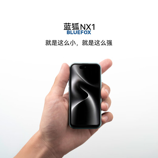 蓝狐【15天内发货】蓝狐NX1八核迷你智能小手机4G全网通4.0英寸超小超薄小屏幕长续航 这是白 全网通 8+128G