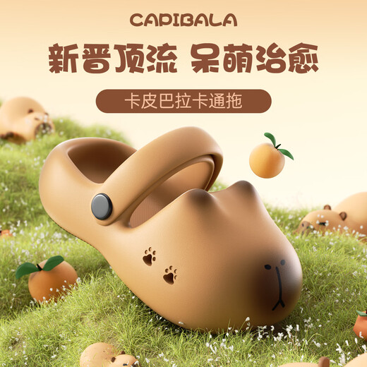 利达妮（TZLDN）卡皮巴拉儿童拖鞋女童新款夏季室外穿沙滩凉鞋防滑亲子洞洞鞋男童