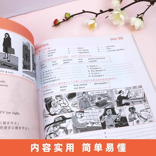 【全2册】剑桥初级英语语法第3版+新概念英语1语法练习Leo老师中考英语外研社正版初中七年级英语初阶全套语法练习册书籍自学 剑桥初级英语语法练习