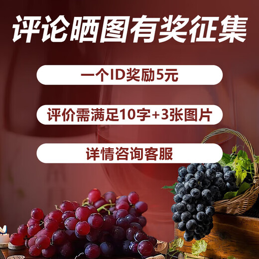 帝月白兰地葡萄烈酒礼盒宁夏高端葡萄蒸馏酒洋酒XO甜葡萄酒过节送礼 葡萄烈酒3代52度500ml*1瓶
