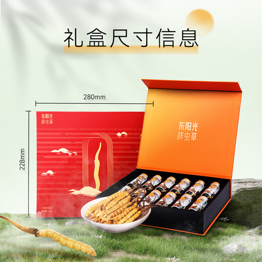 Dongyangguang Cordyceps sinensis 3-4 raíces/g15g aproximadamente 53 raíces en la caja de regalo tónica Cordyceps suplementos nutricionales para ancianos