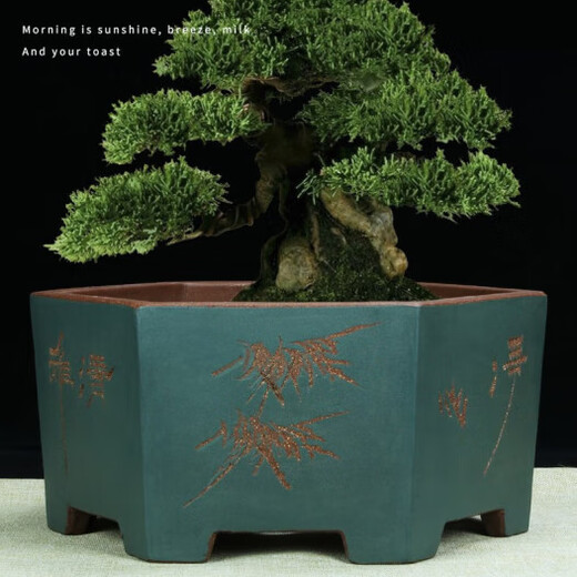 
Yixing six-party purple clay flower pot extra large orchid pot green plants large hexagonal ceramic bonsai pot 693 small