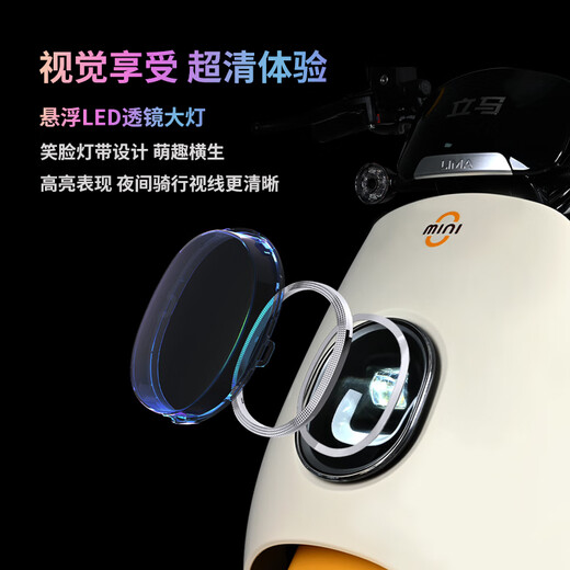 LIMA Electric Motorcycle MINI Speed 50km/h - Range 60KM CHILWEE Battery 60V Long Range Commuting Electric Vehicle Magenta Green