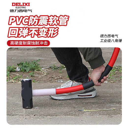 Delixi Electric shock-proof handle octagonal hammer hammer tool wall-smashing hammer masonry hammer large hammer hammer solid hammer 6 pounds upgraded shock-proof octagonal hammer