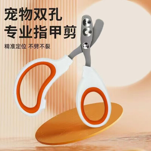 Nail scissors for parrots, nail sharpener for birds, claw sharpener for birds, nail clippers for cats, general purpose for beginners, buy 1 get 1 free - special nail scissors for parrots