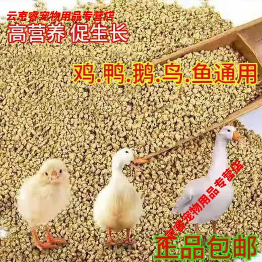 Chicken feed for chickens, open broilers, fattening layers, egg laying pellets, full price feed manufacturers direct sales 80 Jin Jin is equal to 0.5 kg 40 Jin Jin is equal to 0.5 kg Medium pellet chicken feed QS