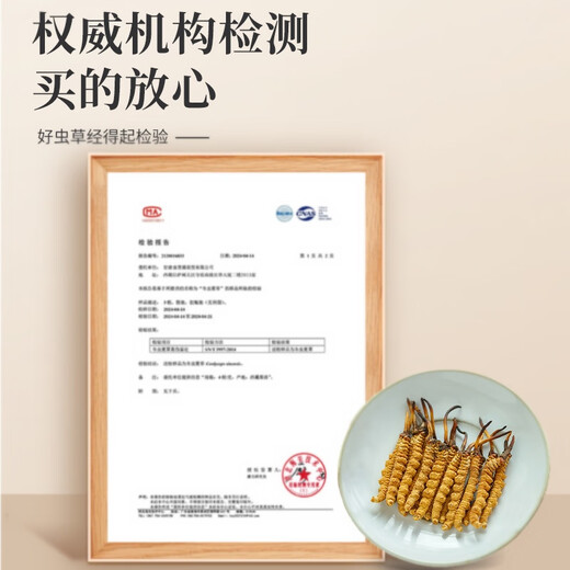 冬虫夏草干货正宗冬虫夏草礼盒装虫草王雄风道滋补养生冬虫夏草 两根一克10根【盒装】