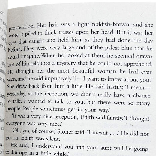 英文原版 斯通纳 Stoner 约翰.威廉斯小说 John Williams