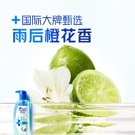海飞丝控油蓬松洗发水套装300g*3+200g+80g*2头皮肌底控油瓶去屑洗头膏