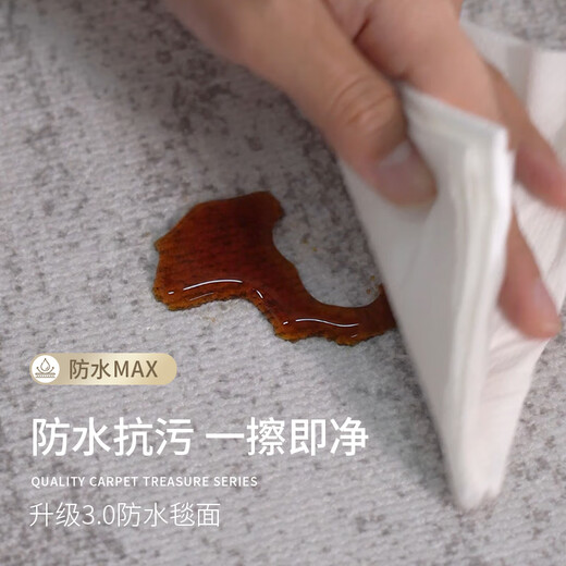 Budis carpet living room light luxury high-end sofa coffee table large size waterproof anti-slip no-wash and wipeable 2025 new floor mat