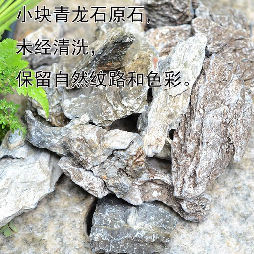 Fish tank stone ornamental stone natural micro landscape original color blue dragon stone aquarium fish tank moss plant potted decoration 10-12 cm blue dragon stone buy 5 pieces and get 10 pieces