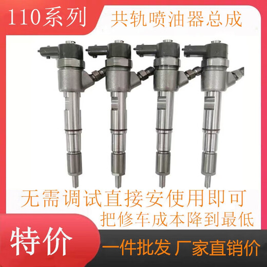 丽田云內动力柴油机电喷喷油器总成4102/110527/529/660/687/677/318 乳白色0445110527
