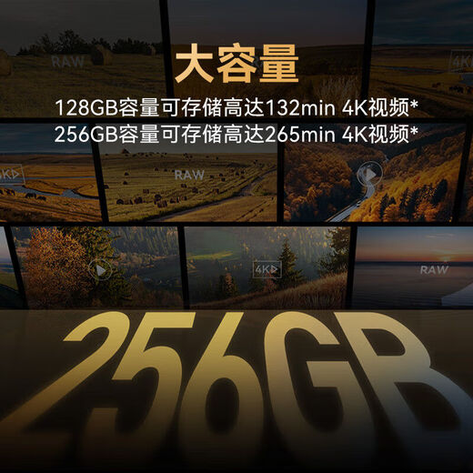 雷克沙（Lexar）【大容量稳录】128G/256G TF(MicroSD)存储卡 U3 V60 A1 读280M 256GB