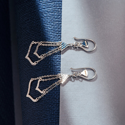 Pt.Charm platinum earrings for women, personality, irregular geometry, trendy new product pt950 platinum earrings, in stock, national inspection certificate 2.6g-2.7g