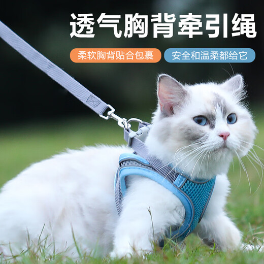 Zhixiangguo cat traction rope to prevent escape from going out, special breathable chest and back traction rope for spring and summer outdoor vest-type cat walking artifact, reflective chest and back traction rope blue, light and breathable XS recommended 3-6Jin Jin is equal to 0.5kg weight
