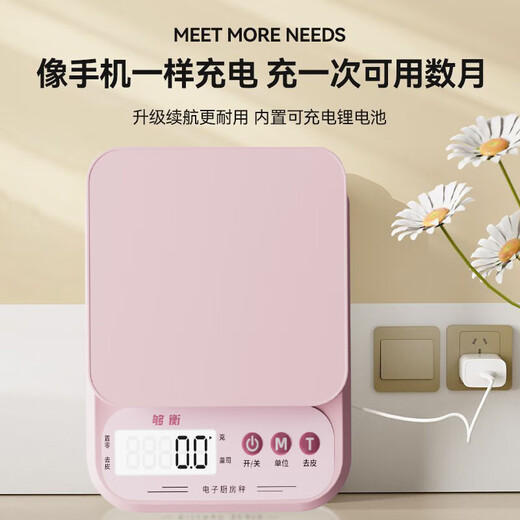 Goheng Electronic Kitchen Scale Accurate High-Precision Food Jewelry Scale Baking Weighing Gram Scale Food Scale 0.1g Strawberry Powder 10kg/1g Battery Model