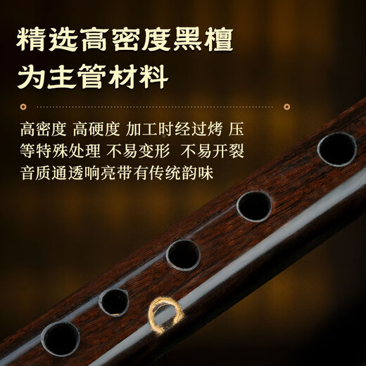 金孔雀乌木葫芦丝c调小学生专用初学者成年人降b调专业演奏级旗舰店乐器 【光面葫芦乌木音管】G调+赠品