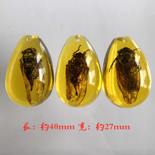 DL 1998 Fat Donglai same model luminous amber real insect specimens children's excavation archaeological blind box pendant accessories resin accessories luminous scorpion 50mm 20-