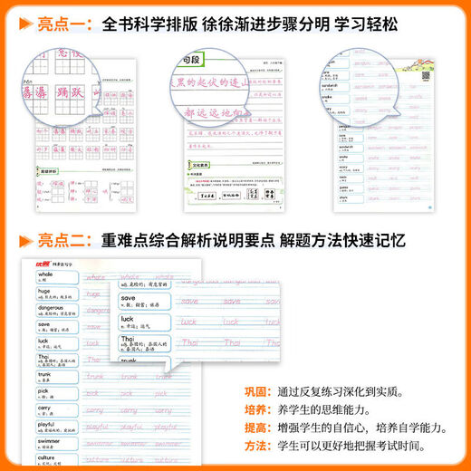 2025 Spring Four-step Method Writing Junior High School Students Practice Copybooks for Grade 7, Grade 8, Volume 2, Chinese English Special for Chinese Four-step Method Writing Grade 7, Grade 7