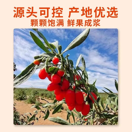 0添加新鲜枸杞原浆宁夏头茬枸杞汁正宗红黑枸杞原液官方旗舰店 红枸杞原浆【1盒10袋】