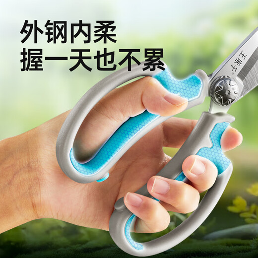 Wang Mazi floral scissors, pruning shears, gardening scissors, fruit tree potted flowers, flower branch scissors, professional floral scissors