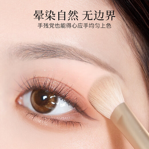 Goody makeup artist jointly branded eye shadow brush 6-piece set makeup brush eye makeup blending silkworm eyeliner blade brush eye details