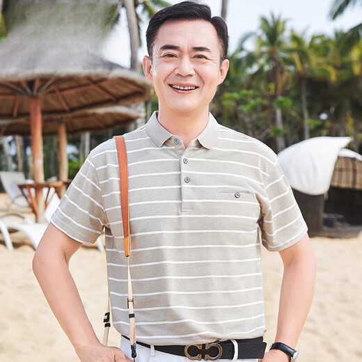 AEMAPE美国苹果中年爸爸夏装短袖t恤polo衫父亲节夏季薄款中老年人宽松 CJ9901浅蓝 M 165