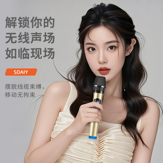 Sony Ericsson (soaiy) 15-inch square dance audio high-power portable wooden outdoor heavy bass Bluetooth karaoke special high-volume mobile trolley speaker outdoor performance dual microphone SA-X23L