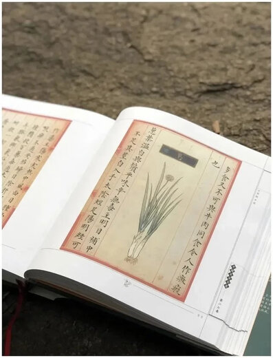 《食物本草  宫廷写本》。华夏出版社2000年出版。来自明代，发行386种食物，493张手绘图，大十二开，530页。